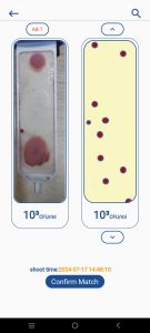 TOTAL KOLONI BAKTERI